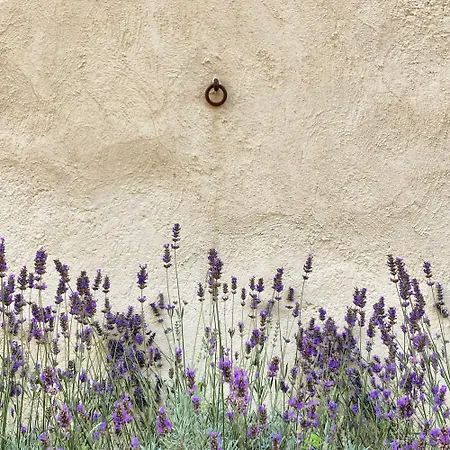 Podere Dell'arco Country Charme Casa de Campo *