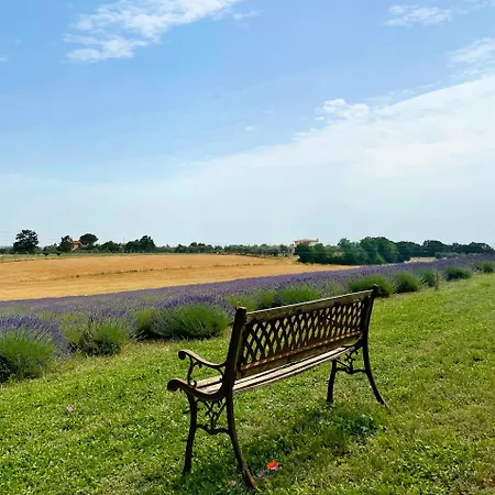 Podere Dell'arco Country Charme *